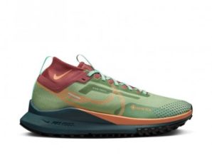 Running shoes Nike React Pegasus Trail 4 GoreTex W DJ7929300